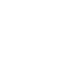 Vehicle-Reports