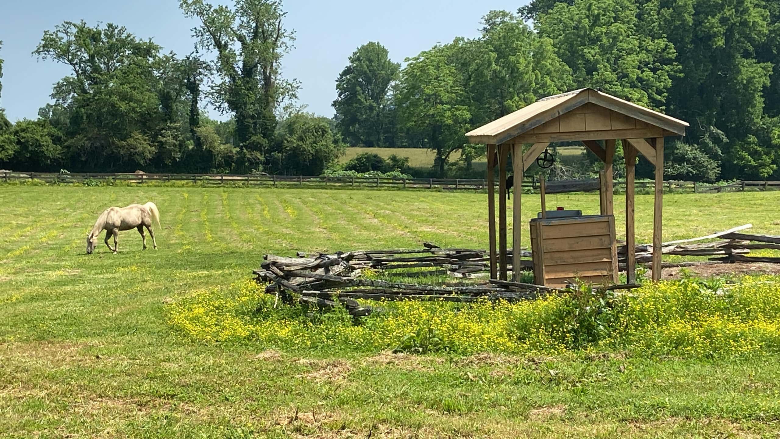 Lodging was a bit different at DealerKnows Summer Camp